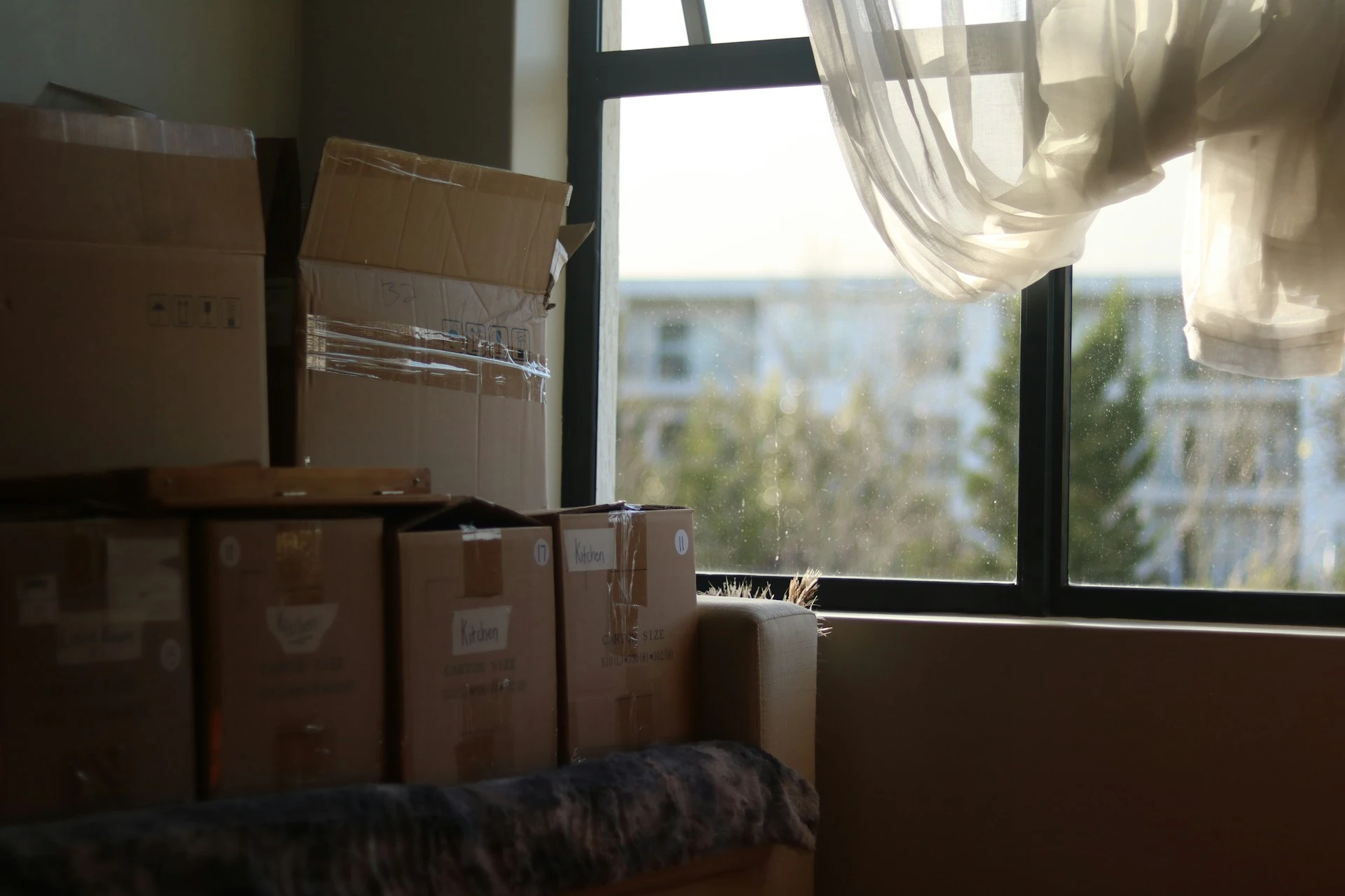 Illustrative photo of labelled boxes beside a window